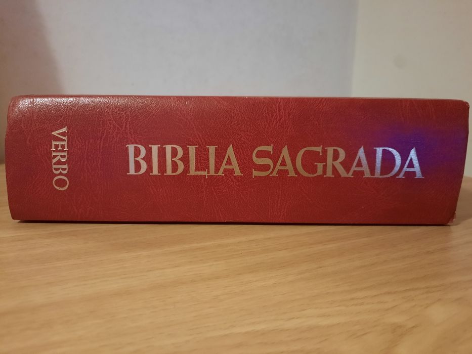 Bíblia Sagrada Ilustrada