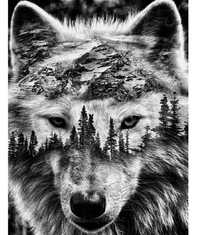 Алмазная мозаика/вышивка Волк