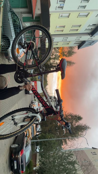 Rower kross hexagon junior replica