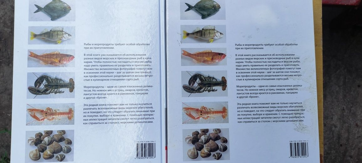 Книга Teubner Рыбы и Морепродукты