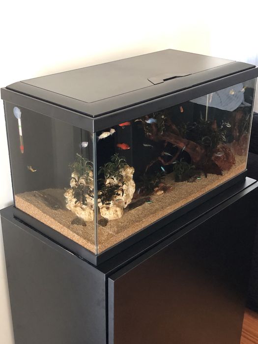 Aquario 60L com Movel