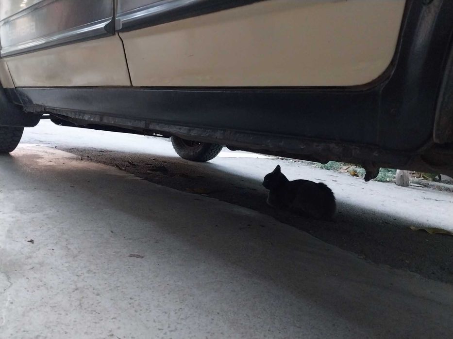 Ваз 2109 обмін продам