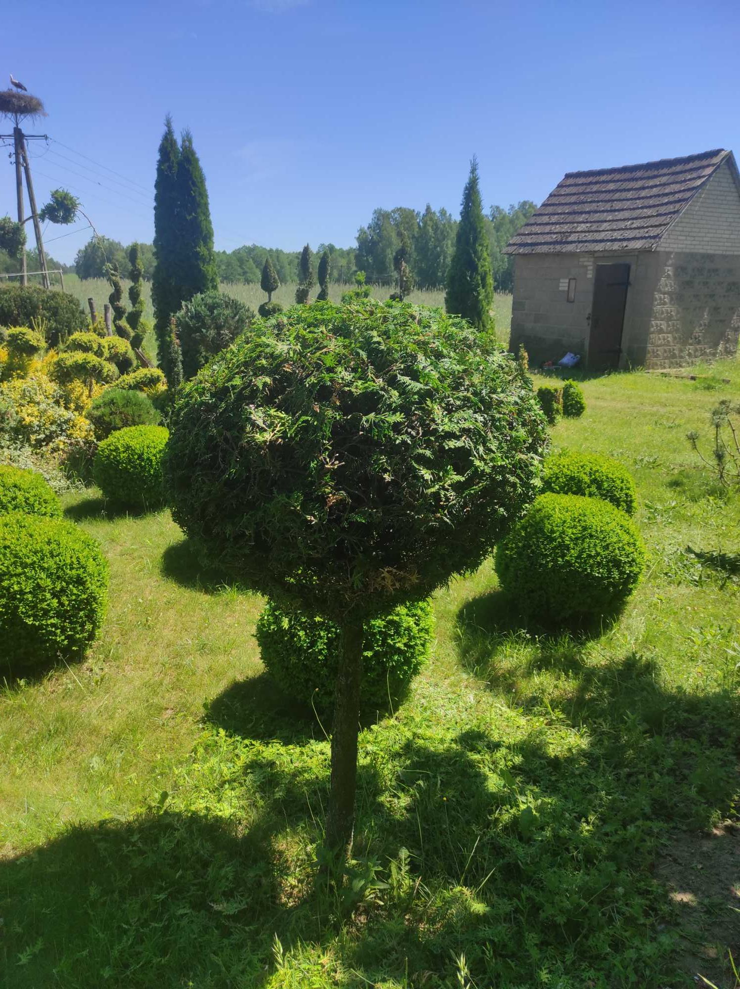 Zakładanie i pielęgnacja ogrodów