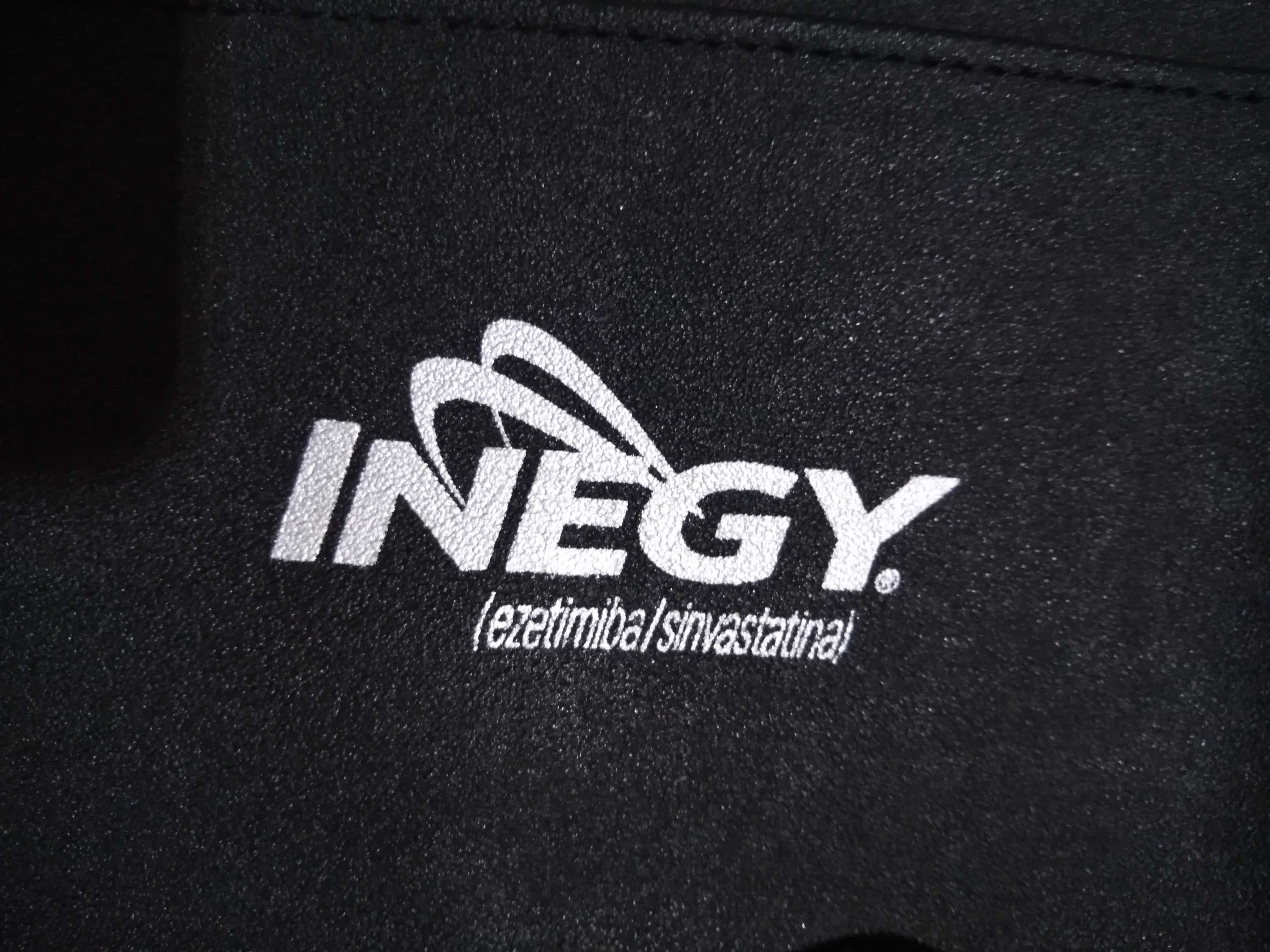 Pasta Executivo Inegy