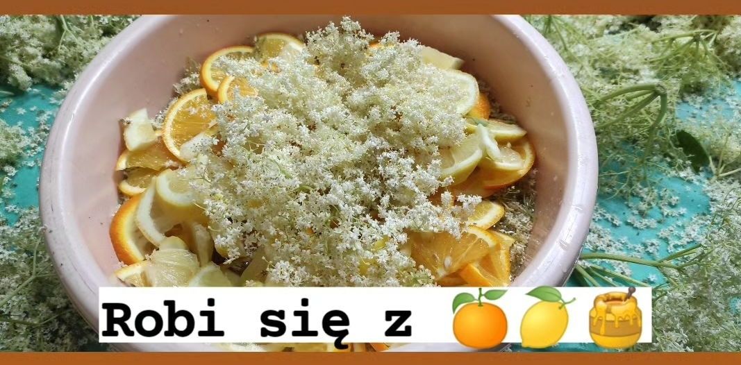 Syrop z kwiatów czarnego bzu z cytryną.