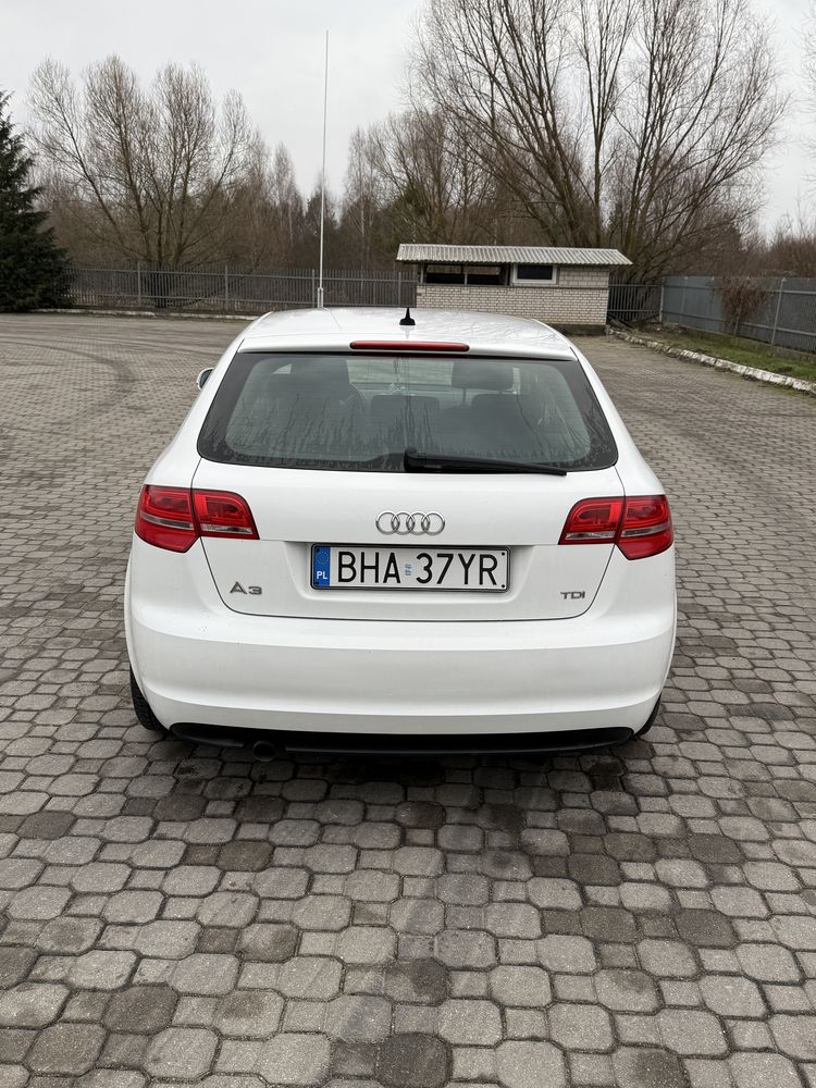 Audi A3 8P, 1.6 tdi 2010 rok