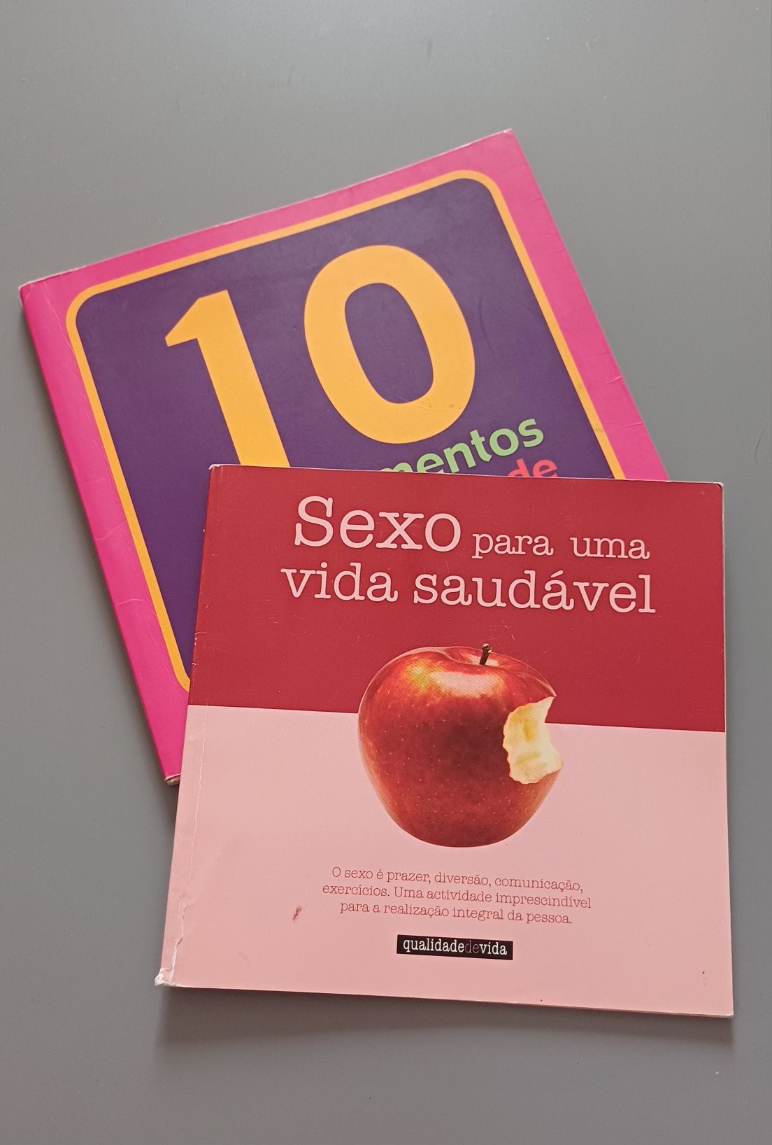 Livro 10 Mandamentos para a Felicidade Feminina