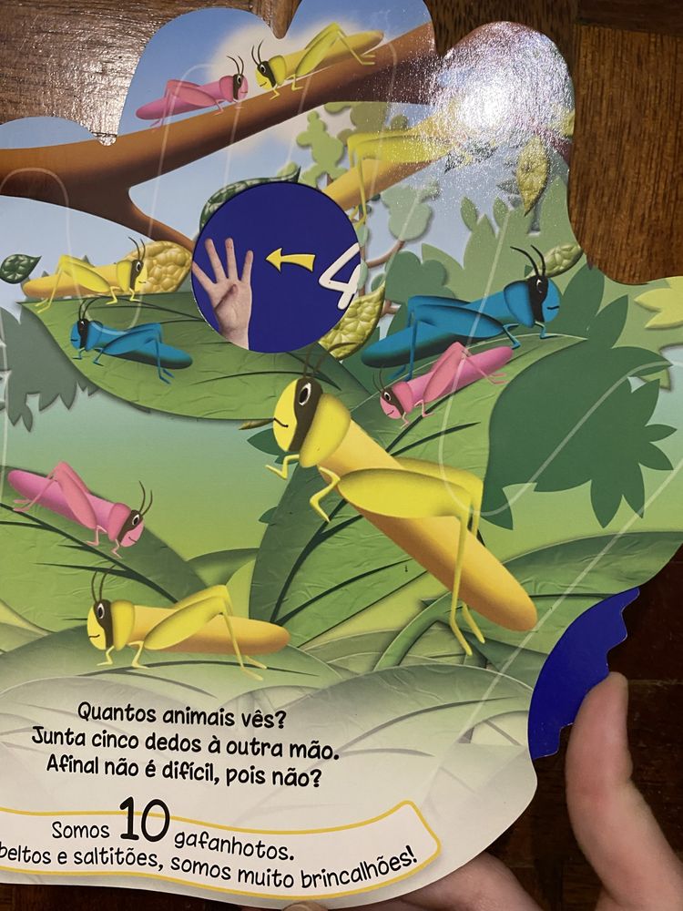 Livro "Aprende a contar com os animais"