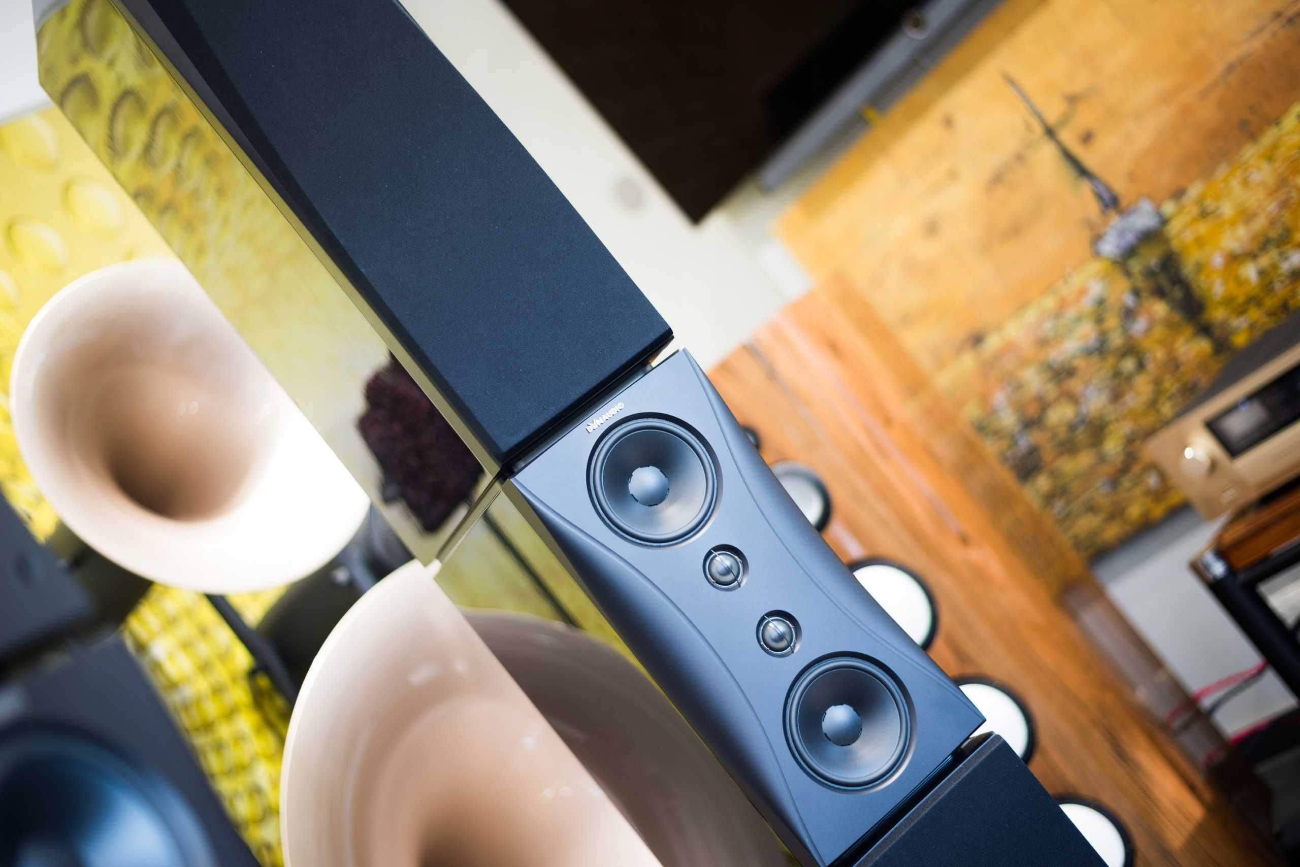 DYNAUDIO Evidence Platinum
