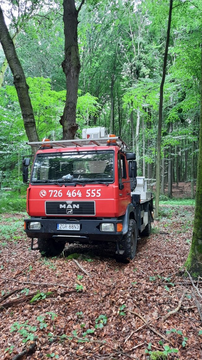 Podnośnik koszowy 4x4 wycinka drzew Gryfino Chojna Szczecin Stargard