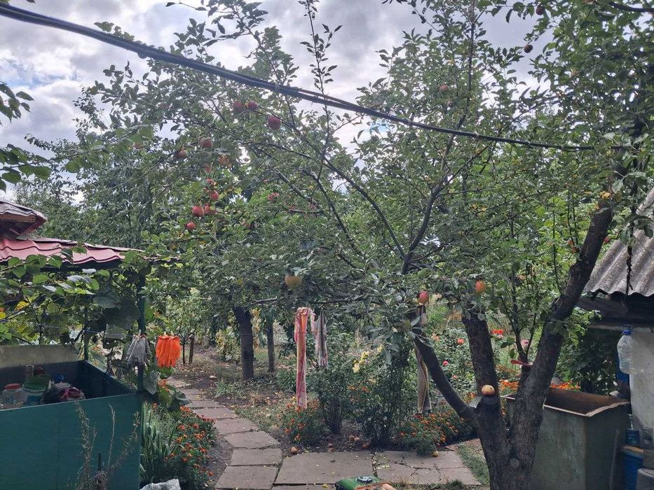 Продається будинок в с.Гребениківка Тростянецького р-ну.