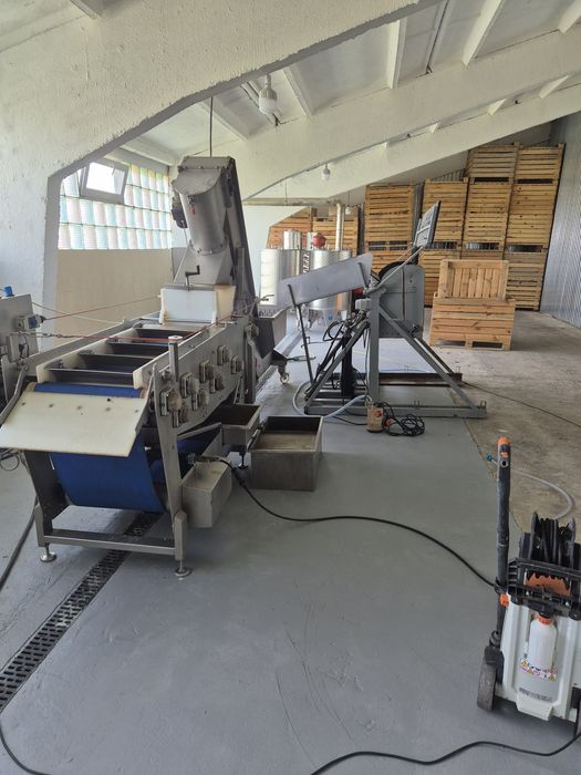 Ленточный пресс 500л/час, пастеризатор и упаковка