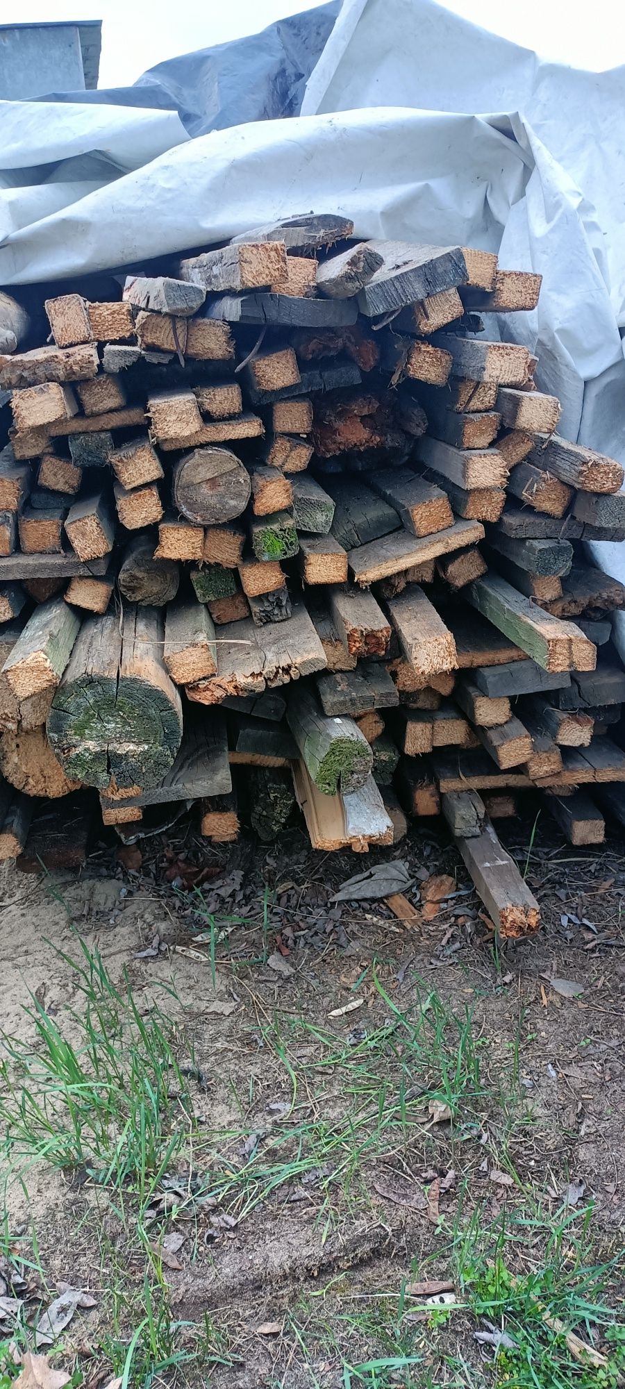 Drewno suche rozpałkowe