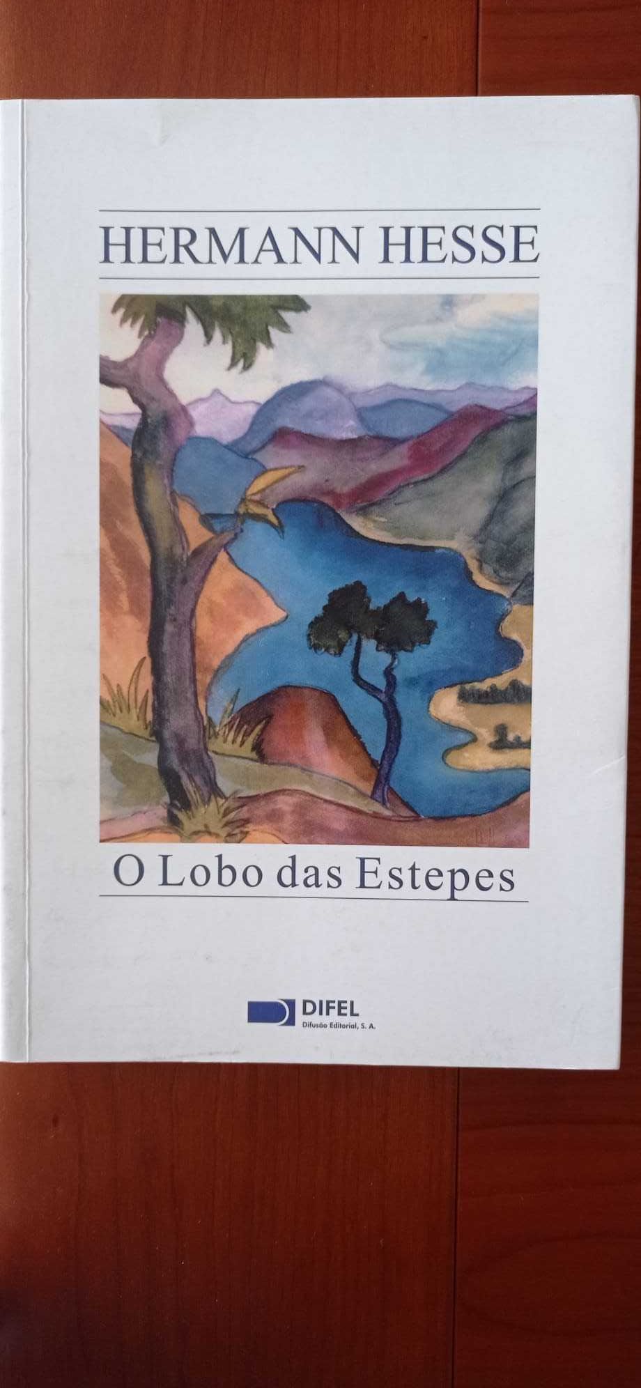 Livros - Herman Hess