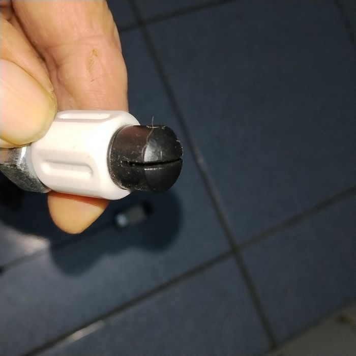 Карпов і свінгера