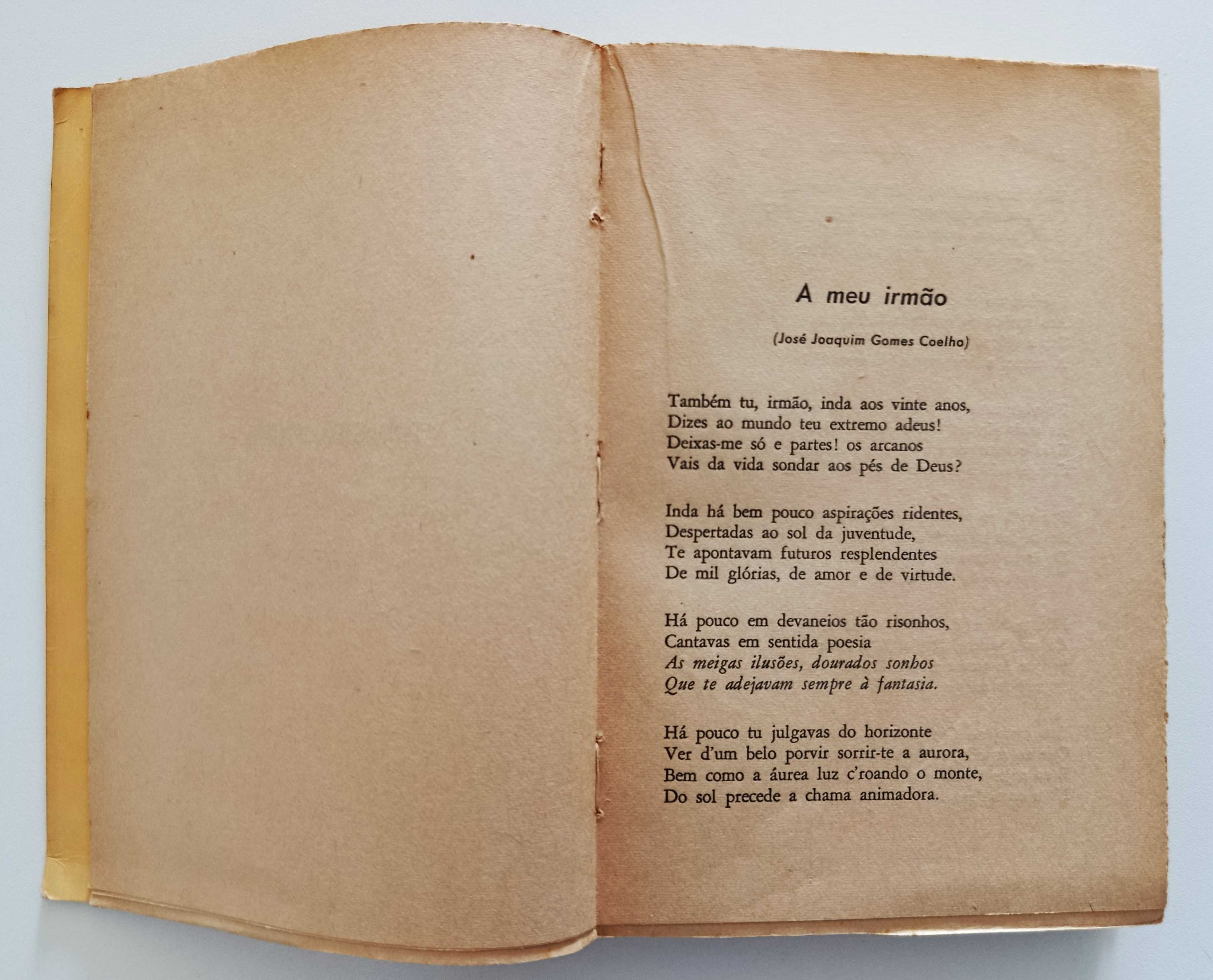 Júlio Dinis | Poesias (90 poemas do autor)