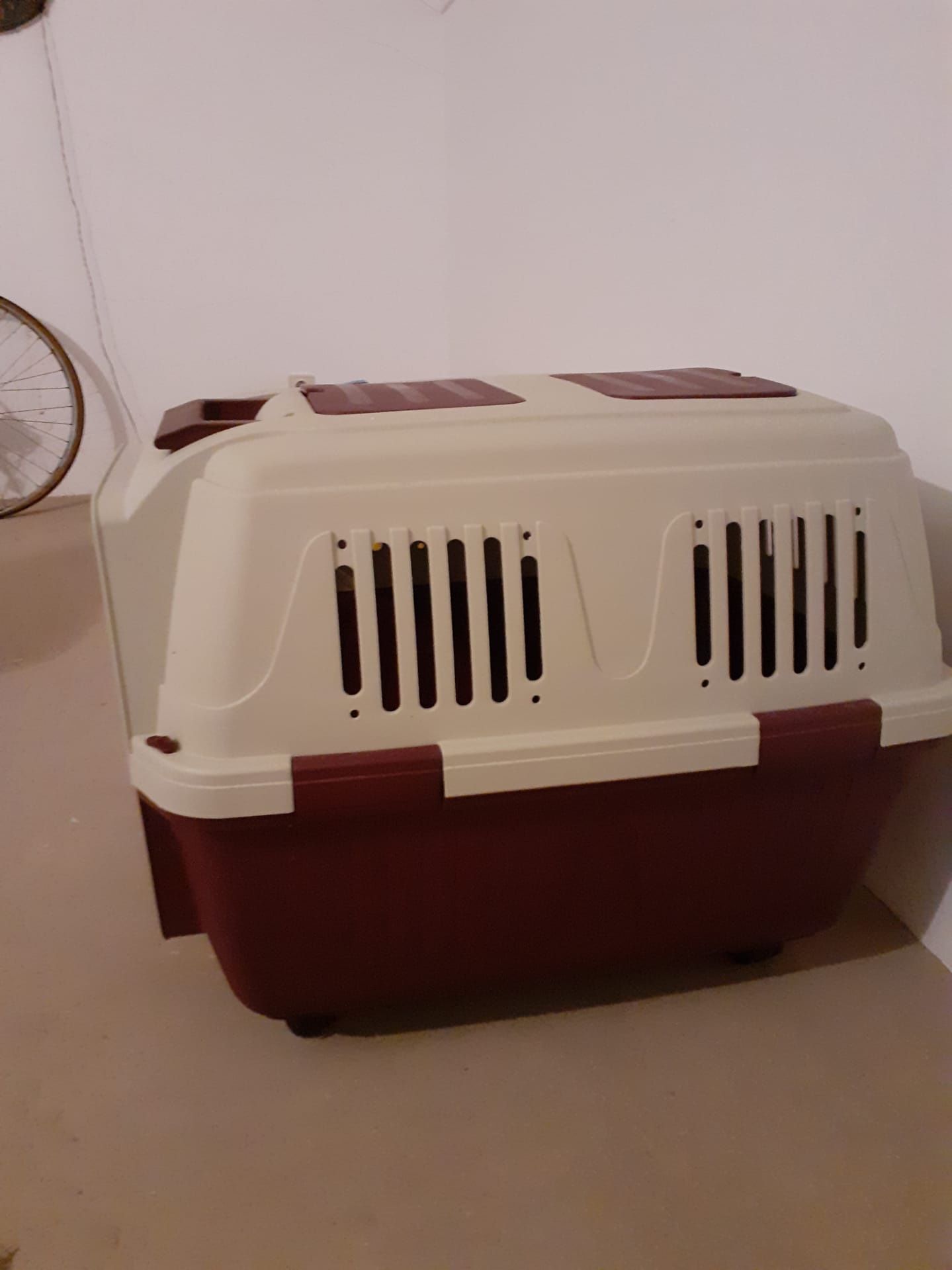 Transportadora para animais