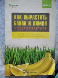 Брошура ,, Как вырастить банан и лимон у себя в квартире"