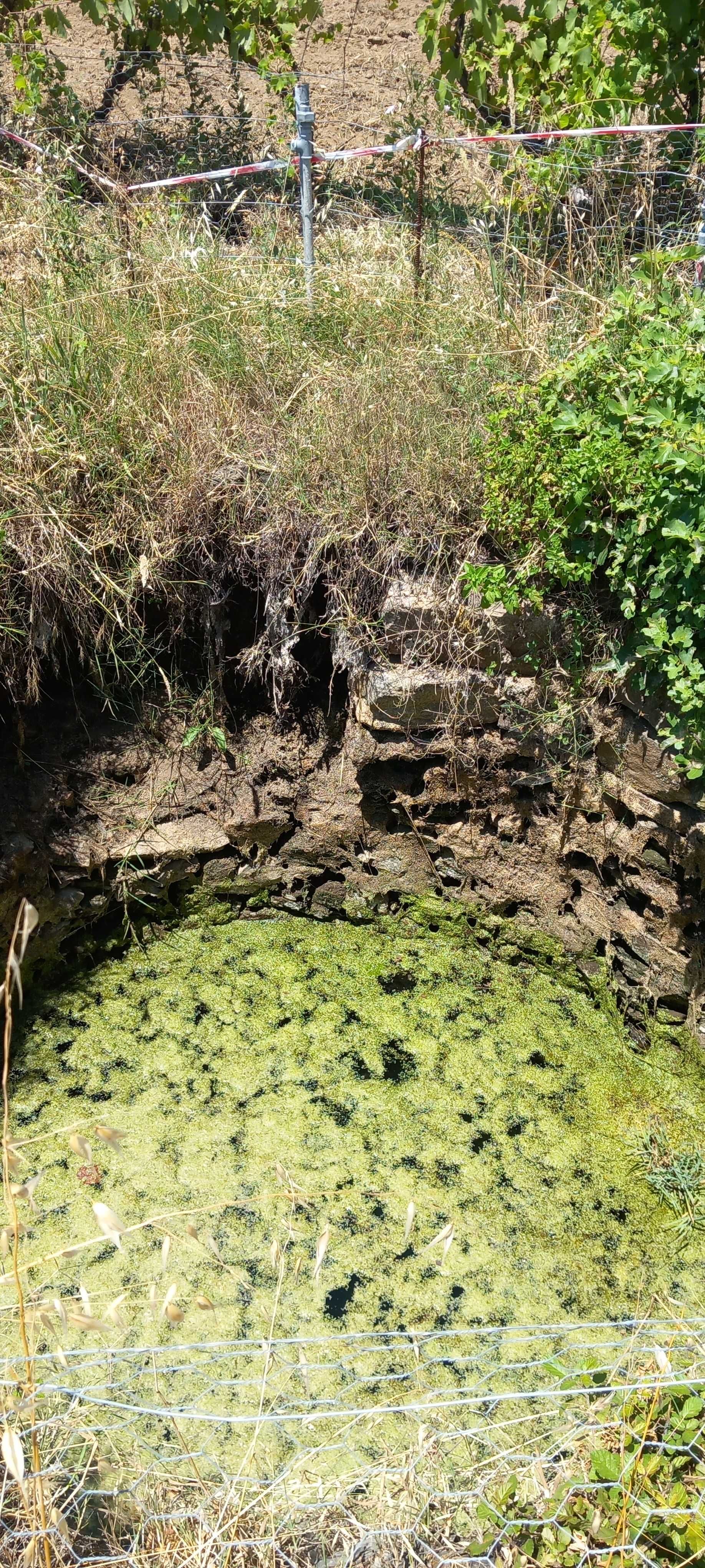 Terreno nas divisas portugal espanha