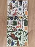 Książki Animalium Botanicum Dinozaurium