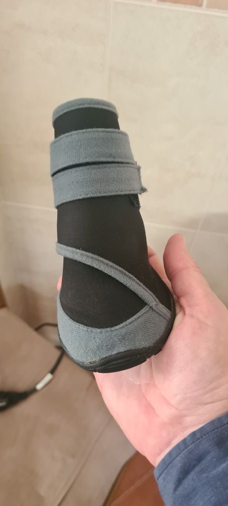 Bota protetora veterinaria cao medicina