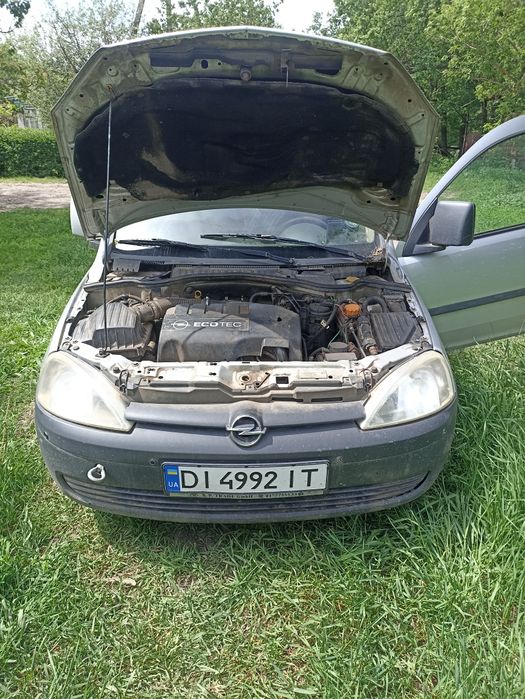 Продам надійного коня