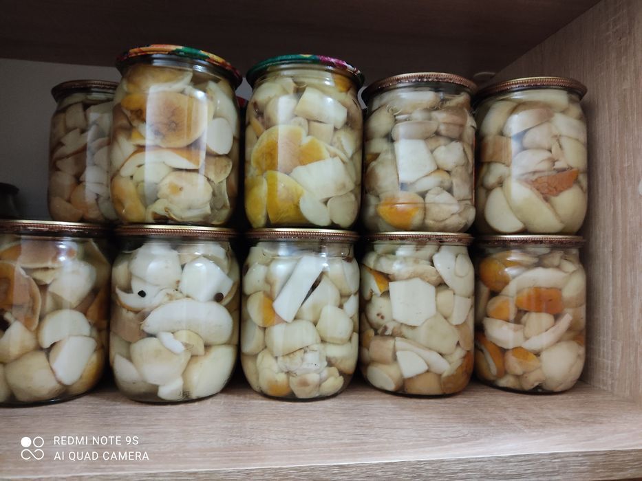 Мариновані домашні білі гриби.