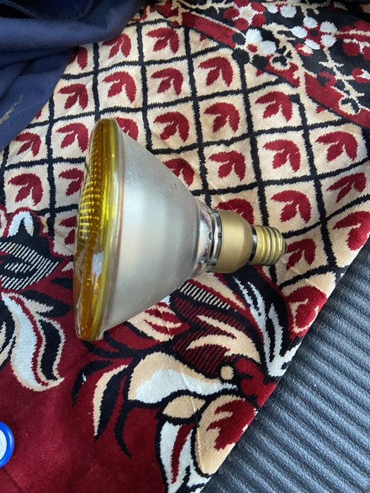 Лампа  made in holland теплова