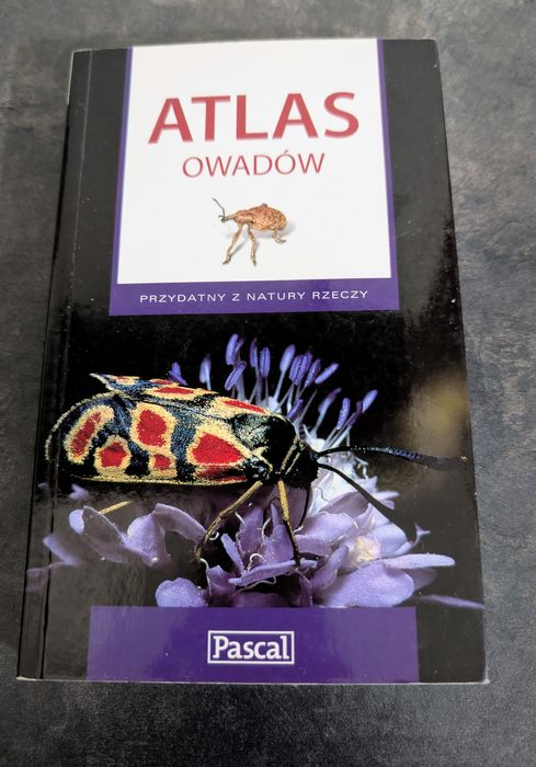 Atlas owadów. Przydatny z natury rzeczy. Pascal