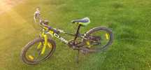 Rower Cube Race 200