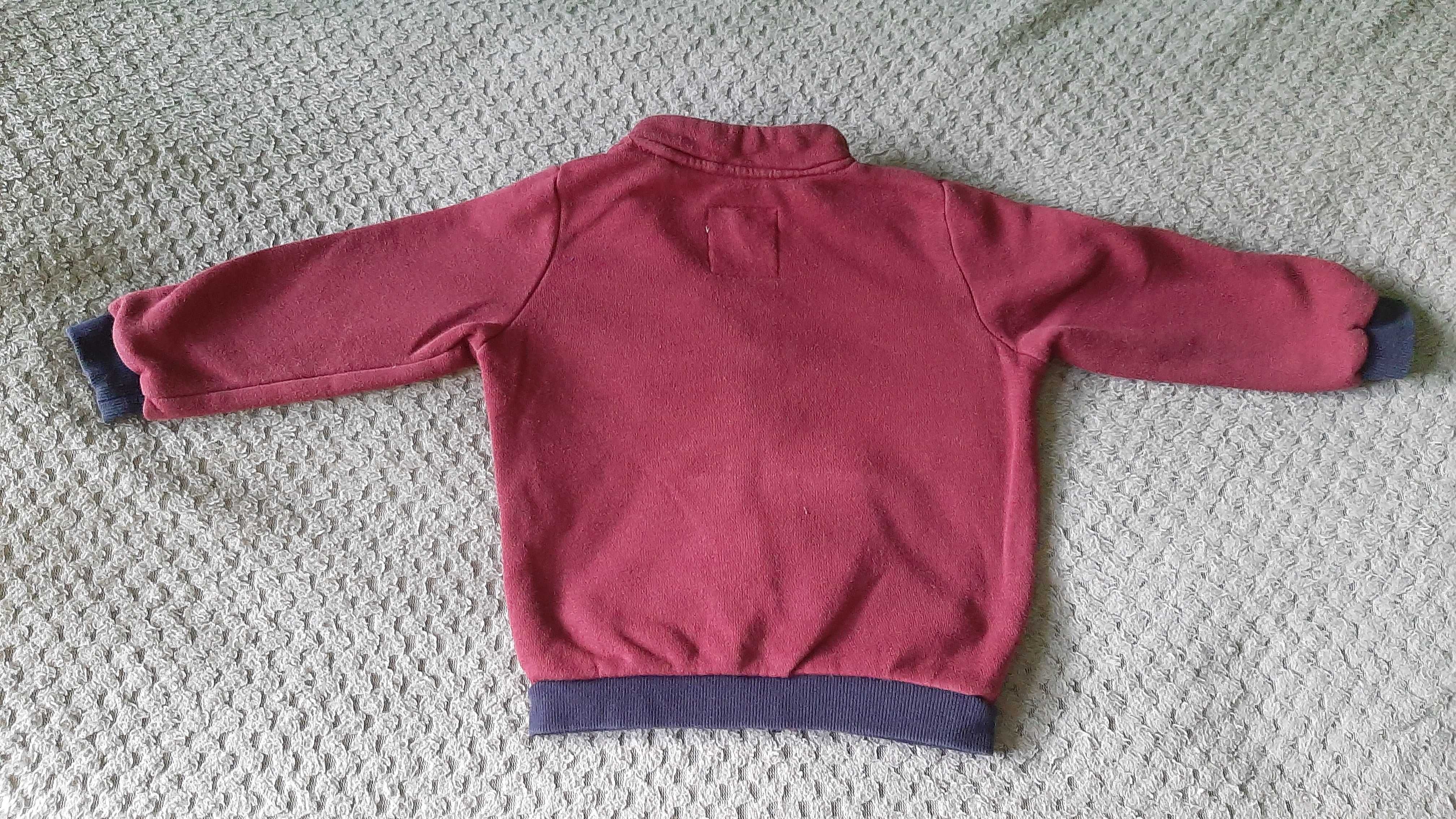 Bluzy chłopięce Lupilu roz 86-92