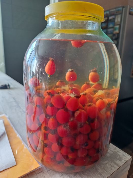 Шипшина. Плоди шипшини.