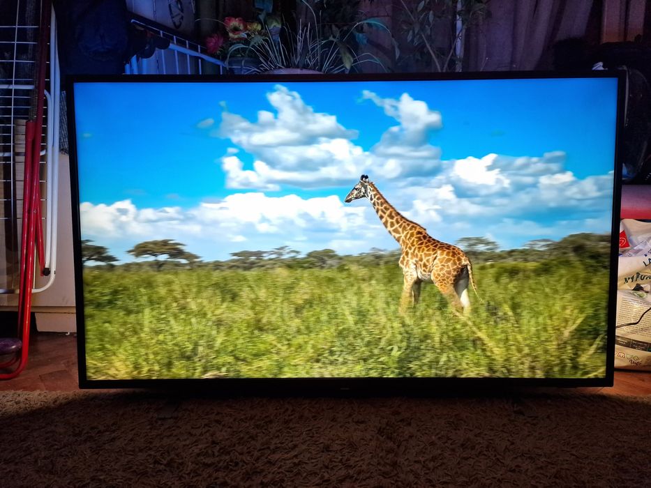 Tv Philips 55" 4K SMART AMBILIGHT UHD HDR telewizor LED DVBT-2 WiFi