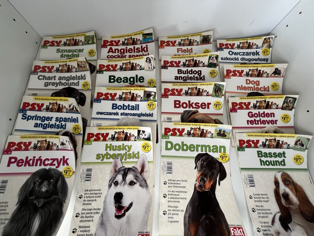 Kolekcja czasopisma psy