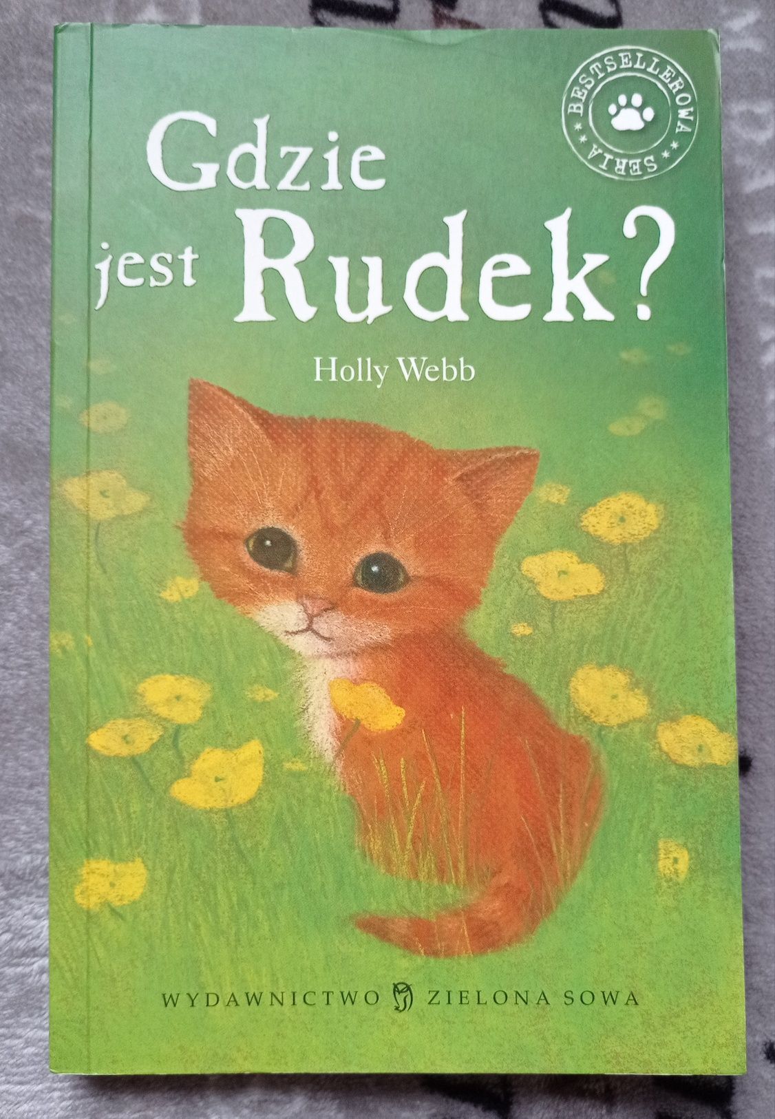 Zaopiekuj się mną Holly Webb - Gdzie jest Rudek? - kotek