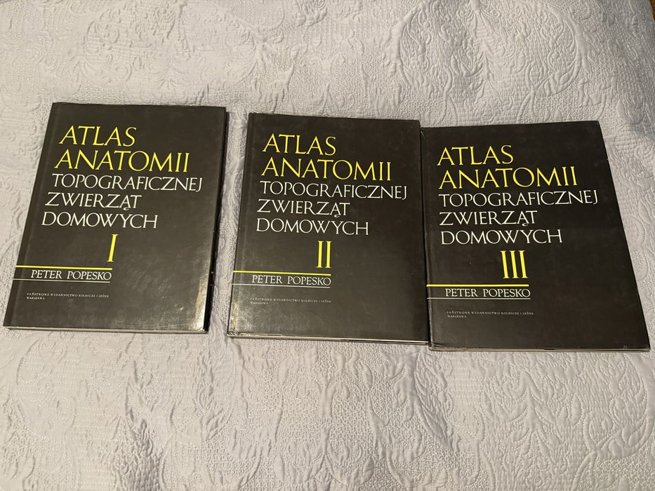 Atlas Anatomii Topograficznej Zwierząt Domowych Peter Popesko