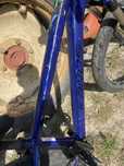 Rower Kands  colt