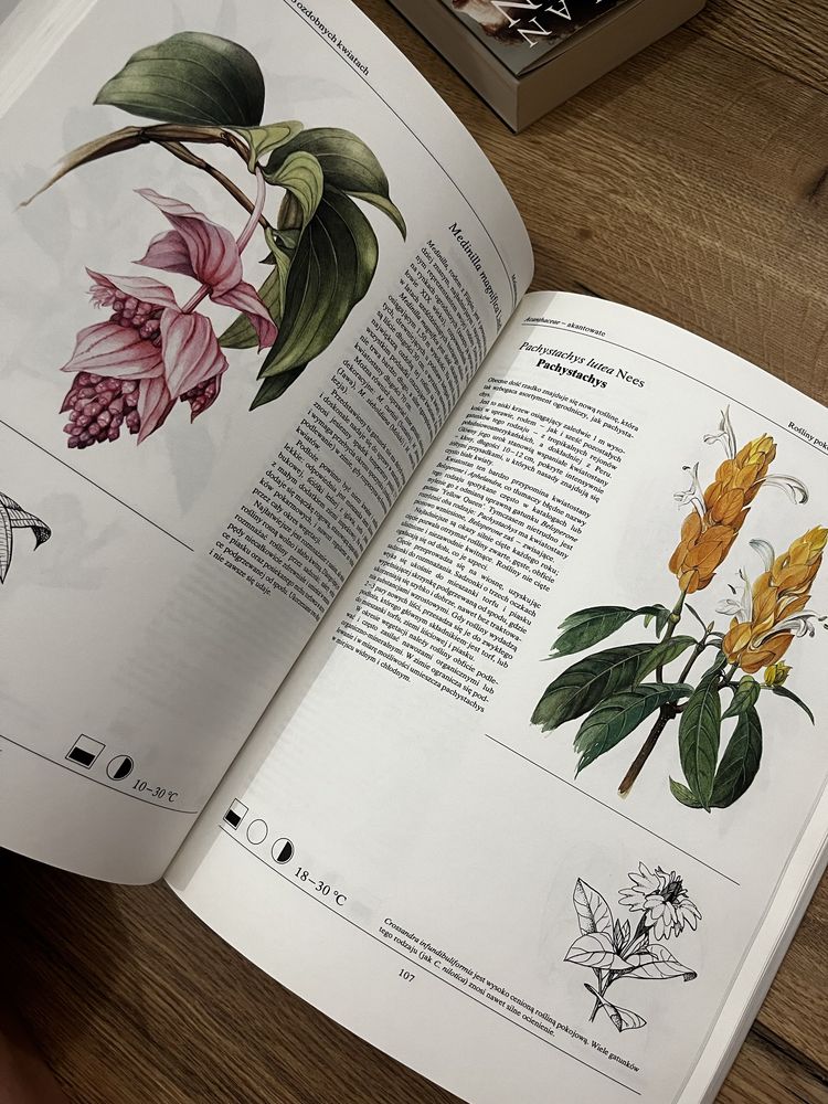 Encyklopedia o kwiatach
