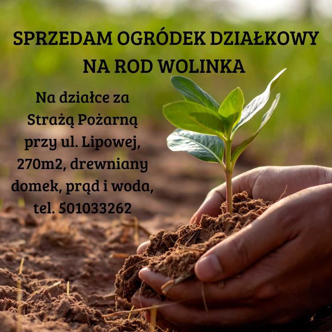 SPRZEDAM ogródek działkowy na Rod Wolinka w Zduńskiej Woli