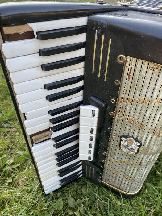 Akordeon  Weltmeister