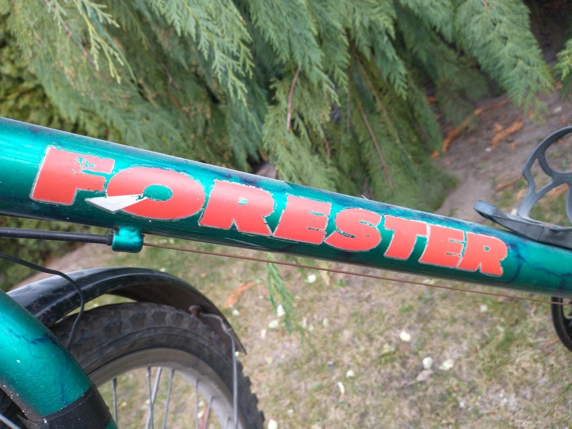 Arkus Forester MTB