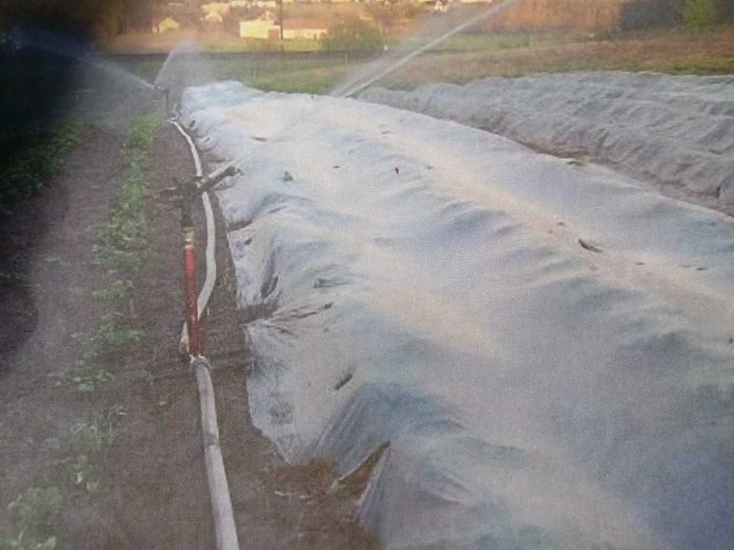 Profesjonalny Zraszacz Pulsacyjny Polowy na Statywie 0,5cal - Zra-04