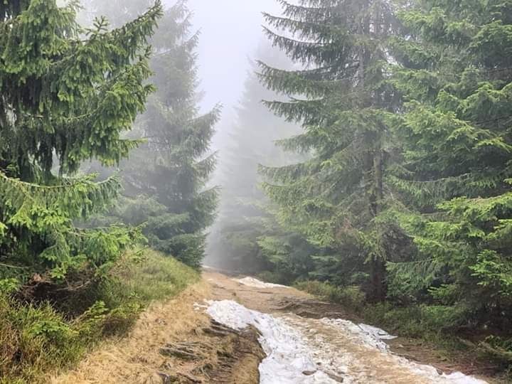 Domek  Chochołów* RABAT  Wrzesień  * Ciche okolice Chochołowa