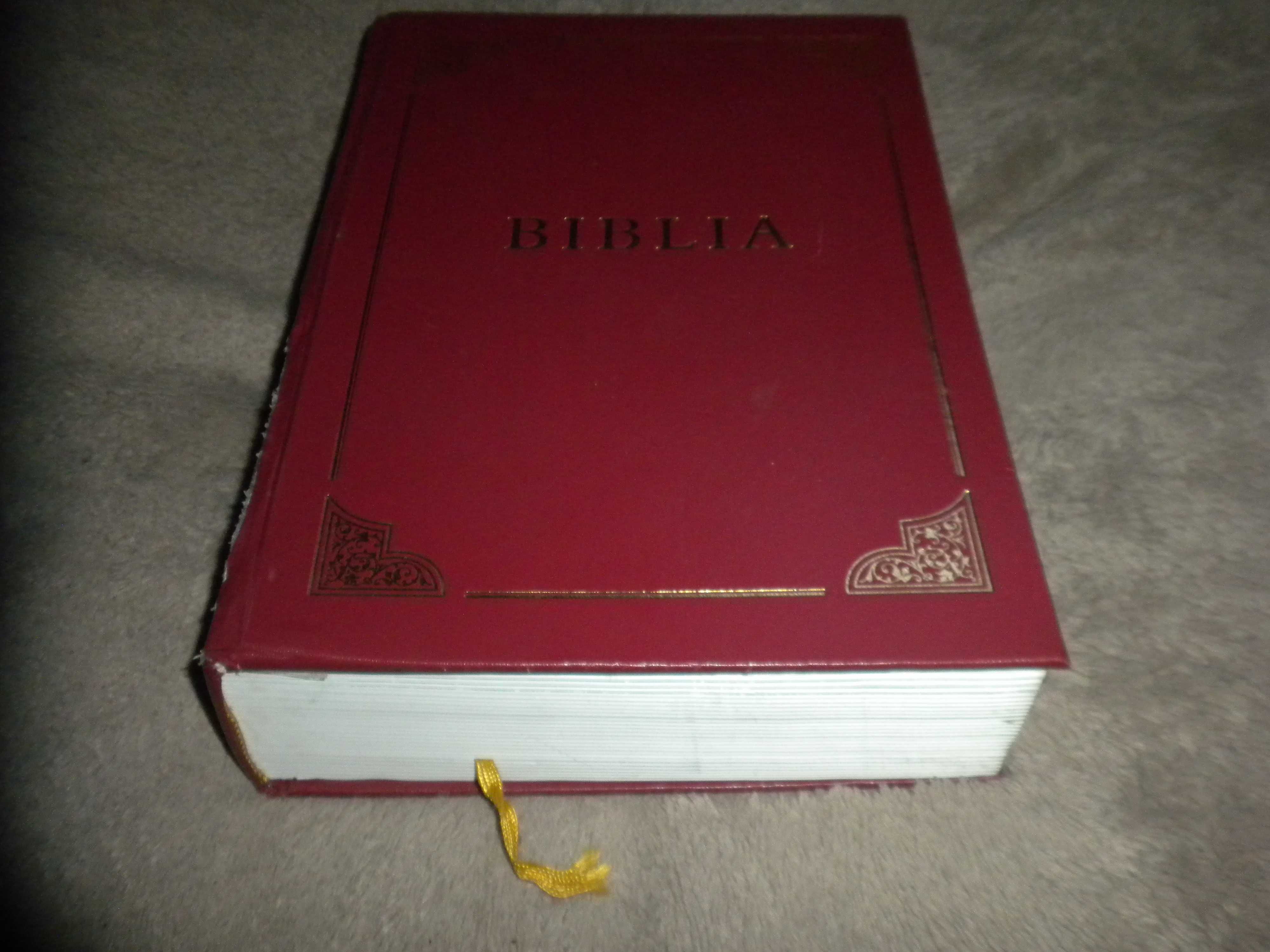 BIBLIA Pismo Święte STARY i NOWY TESTAMENT Ogromna Rodzinna Dedykacja