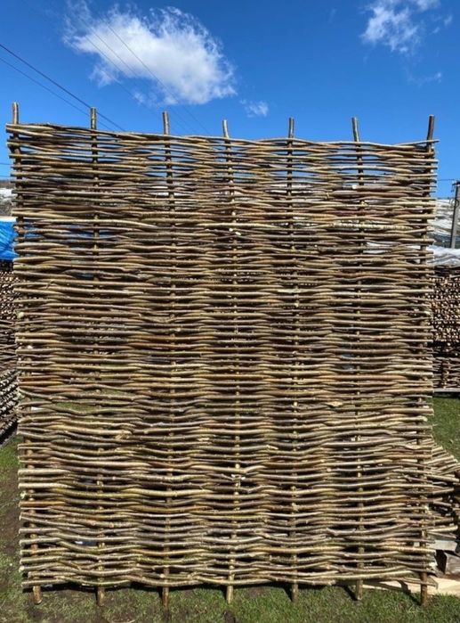 Купую плоти ліщинові