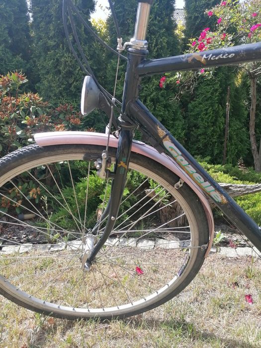 Gazelle Medeo rower męski