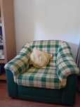 vendem se sofas de 1 lugar.