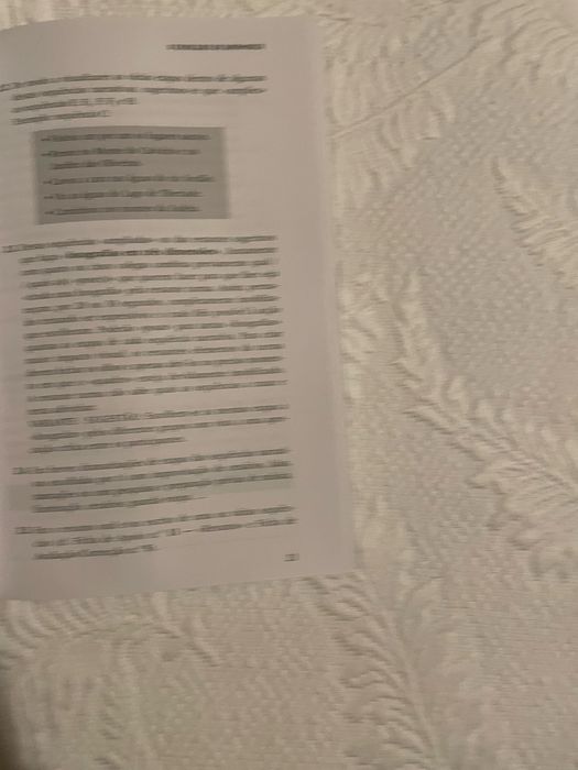 O cavaleiro da Dinamarca -o texto em analise