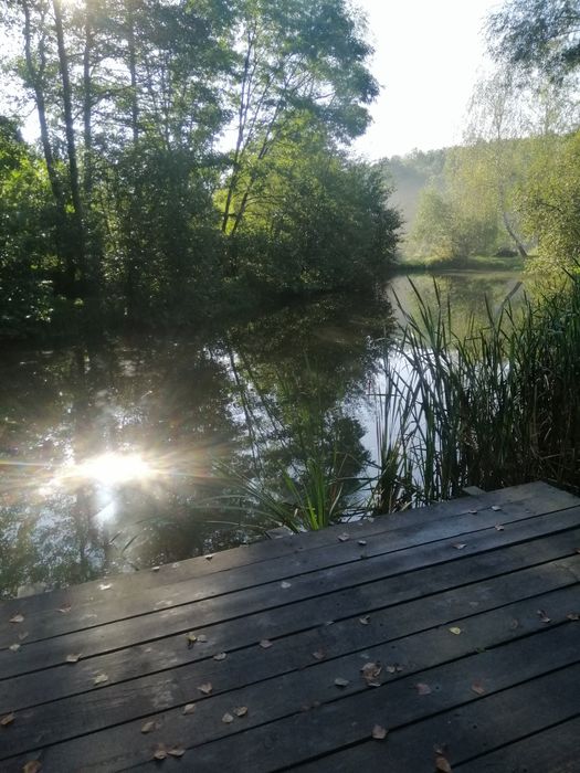 ЧАН-сауна / ХАТКА над озером / відпочинок будинок подобова оренда