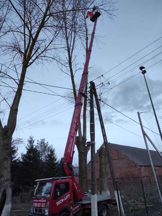Wycinka drzew  Podnośnik koszowy Zwyżka Mycie dachów